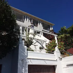 The Cove Apartment
